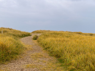 landscape with dunes, dry grass and sand texture