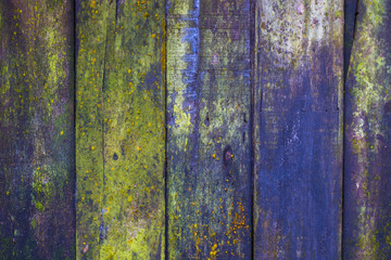 Color of Old Wood Wall in the Jungle