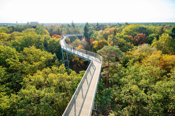 Fototapeta premium The treetop path through the mixed forest at the Beelitz near Berlin in Germany. Very colorful, sunny autumn day with lush foliage.