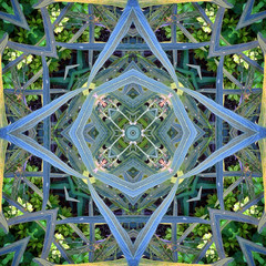 blue leaf lattice kaleidoscopic photo effect
