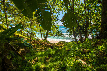 Ile Maurice © Tomfry