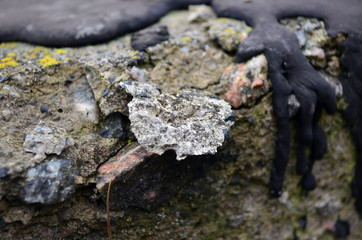 Wall Beton and resin Texture or Background  Beton