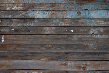 The texture of an old wall of boards with peeling blue paint