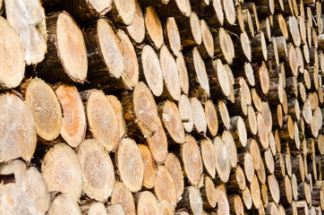 une pile de bois de chauffage