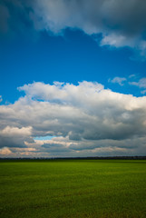 Fototapeta na wymiar Sky and clouds and green field in the countryside, landscape.