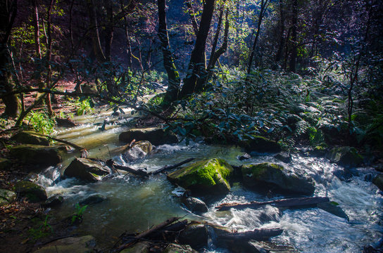 arroyo cascada