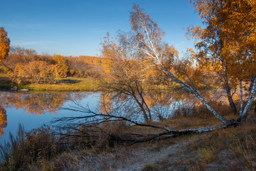 Fototapeta premium autumn landscape by the river in the morning