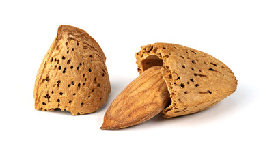 Almond nut in shell isolated on white background close up