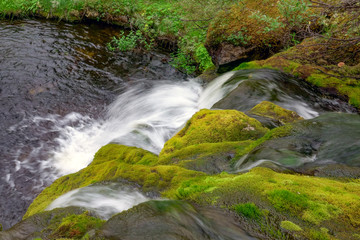 Obraz premium water flow over mossy rocks