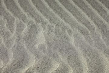 Strand Sanddüne Meer Farewell Spit in Neuseeland
