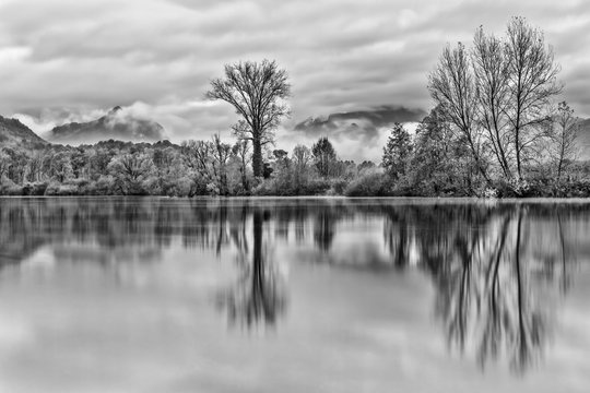 Autumn landscape, black and white photography