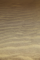 Fototapeta na wymiar Strand Sanddüne Meer Farewell Spit in Neuseeland