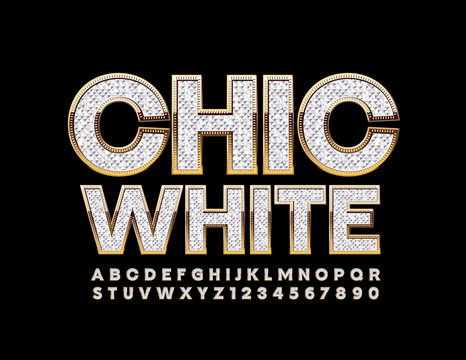 Vector Chic White Font. Stylish Alphabet Letters, Numbers and Symbols. 