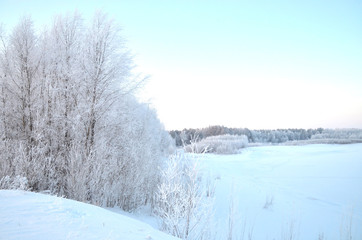 Fototapeta premium winter landscape with river and trees
