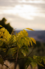 Beautiful view of a mountain in autumn