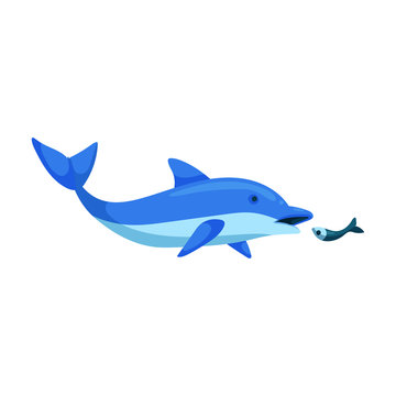 Blue dolphin vector icon.Cartoon vector icon isolated on white background blue dolphin .