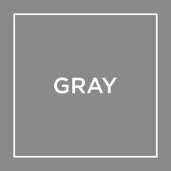 Gray color palette vector illustration