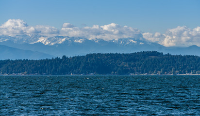 Mountains Over Evergreens 2