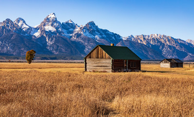 Old cabin in open field with Grand Teton mountains