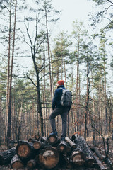 Man stands on pile of logs in the pine forest