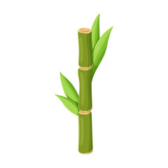 Stem of sugar cane vector icon.Cartoon vector icon isolated on white background stem of sugar cane .
