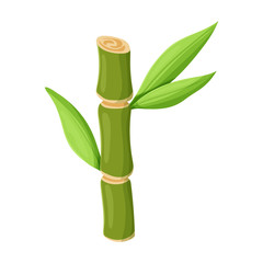 Fototapeta na wymiar Stem of sugar cane vector icon.Cartoon vector icon isolated on white background stem of sugar cane .
