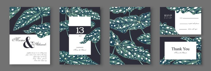 Botanical wedding invitation card. Template design with Begonia leaves. Polkadot Begonia Maculata. Realistic, highly detailed style. Collection of Save the Date and RSVP in vector EPS.