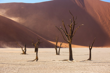 Silhouettes of dry hundred years old trees in the desert among red sand dunes. Unusual surreal alien landscape with dead skeletons trees. Deadvlei, Namib-Naukluft National Park, Namibia. Namib desert