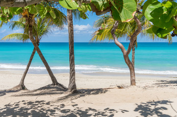 Cuba Varadero Beach Tropical Background