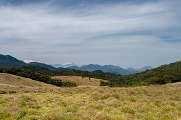 Fototapeta na wymiar Horton Plains National Park, Sri Lanka