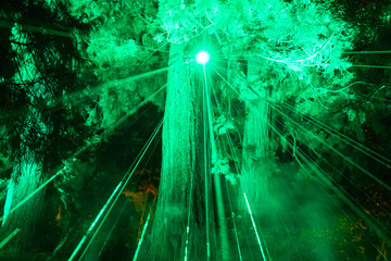 Green Woods Laser