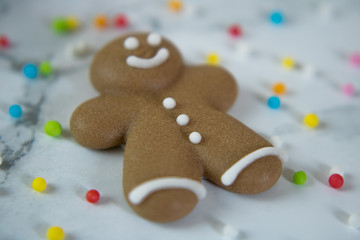 Obraz na płótnie Canvas Food photography of a miniature gingerbread man