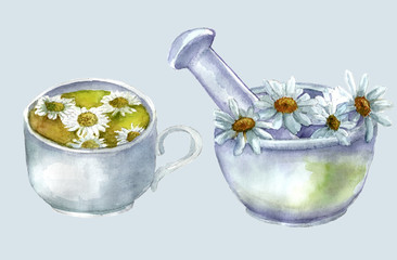Daisies in a mortar and a tea cup with daisy flowers. Freehand watercolor drawing