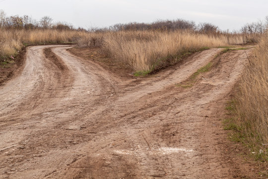 Dry Cracked Dirt Road Splitting to Two Sides