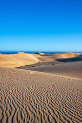 Fototapeta na wymiar Dune di Maspalomas - Gran Canaria