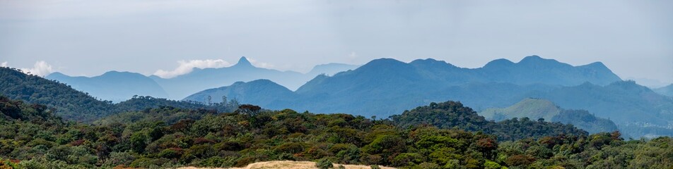 Fototapeta na wymiar Horton Plains National Park, Sri Lanka