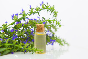 hyssop essential oil in  beautiful bottle on White background