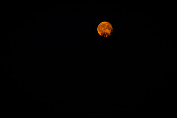 Blutmond