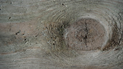 drewno