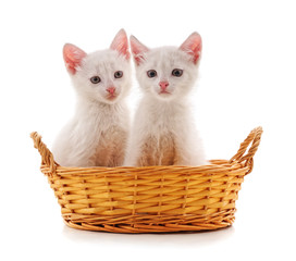 Obraz na płótnie Canvas Kittens in a basket.