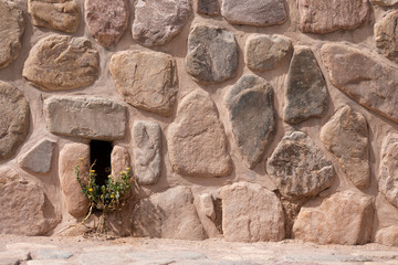 Pared con ramas