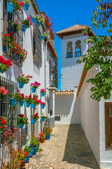 Flowery sight in the Albaicin district in Granada. Andalusia, Spain.