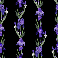 Obraz na płótnie Canvas Vector floral seamless pattern with violet flowers and green leaves on black. Hand drawn.Background with purple irises for your design, prints, textile, web pages. Realistic style. 
