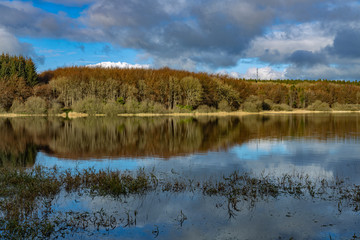 Woodburn Reservoir  and woodland forests, The Snowy Glen, Carrickfergus, County Antrim, Northern Ireland