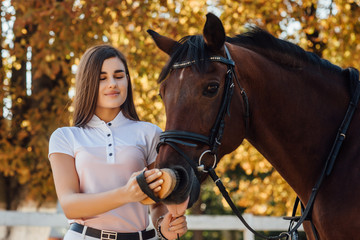 Fototapeta premium Young farmer woman combing her horse, concept about equestrian sport and love between people and animals.
