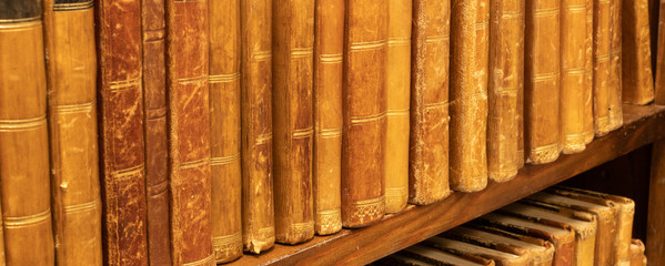 Old mostly leatherbound library books from the end of the 19th century in a row