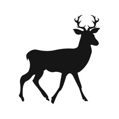 Vector silhouette of deer on white background.