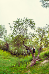 Beautiful sexy blonde outdoors