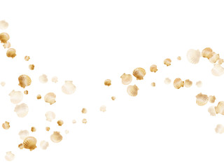 Rich gold sea shell graphic design