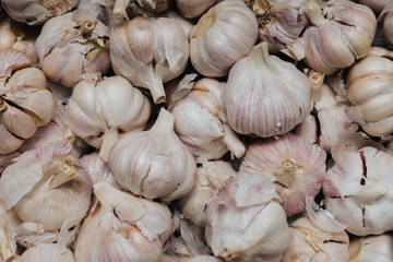 White garlic. A bunch of garlic with reddish splashes. Background for wallpaper.
